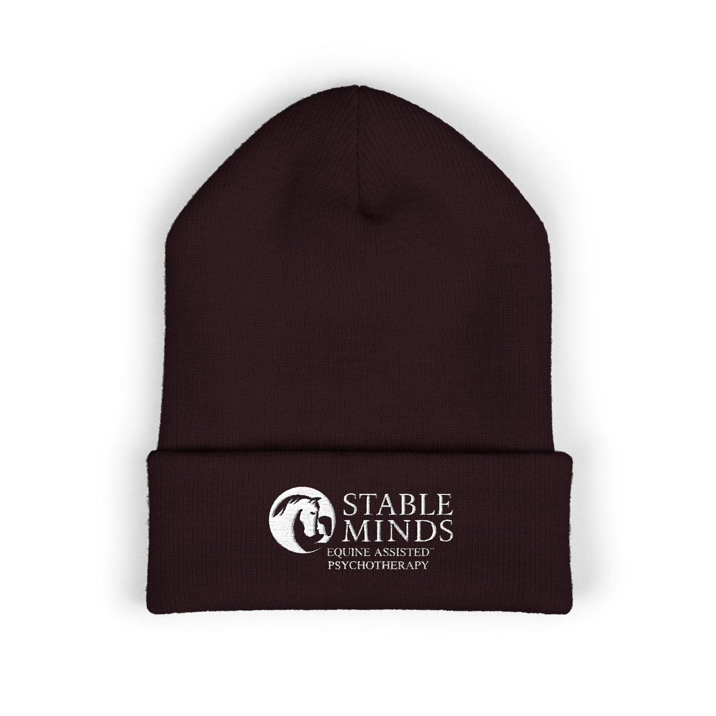 Winter Beanie