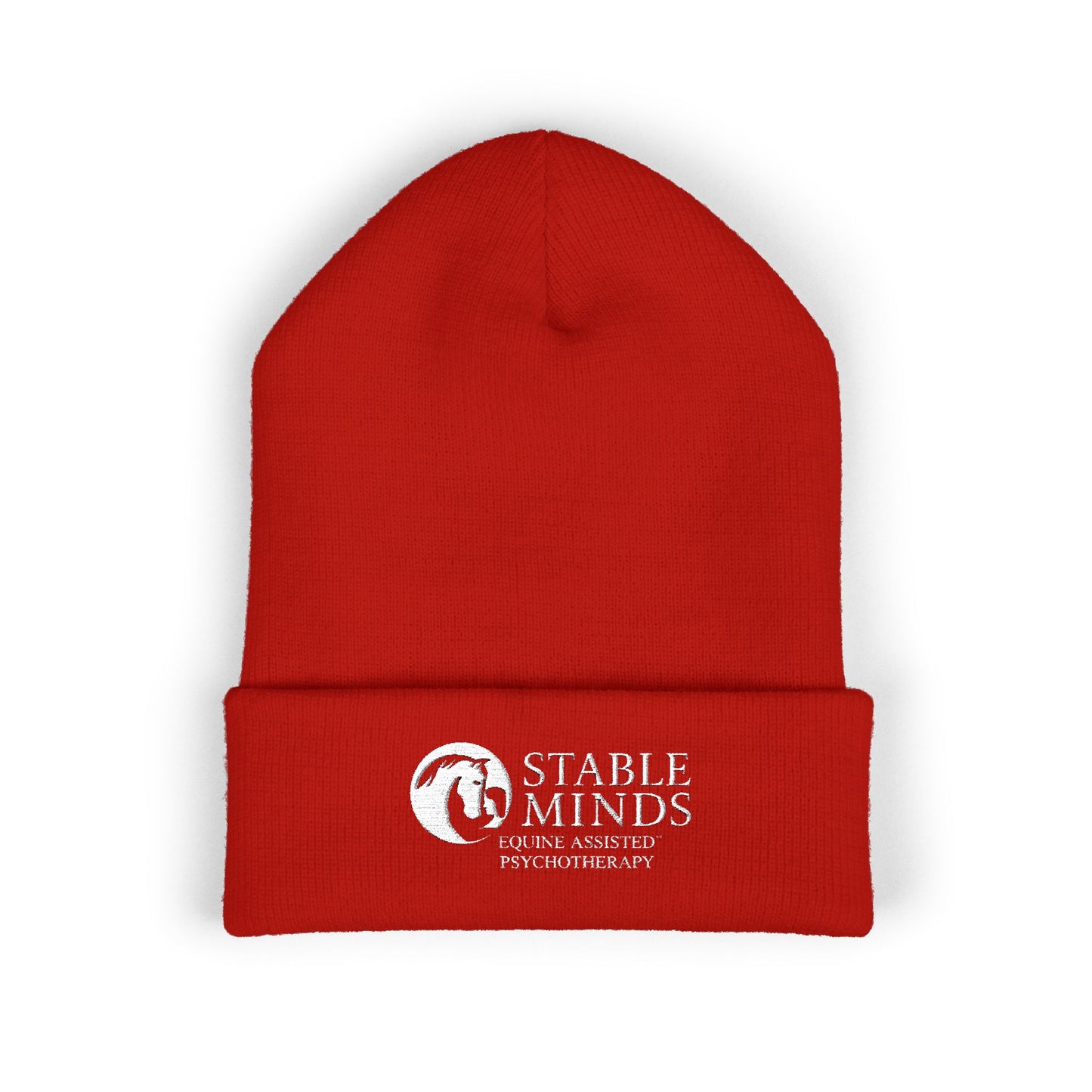 Winter Beanie